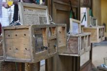 3 wooden cages