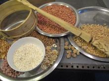 Beans and pulses