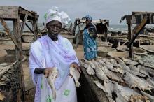 Man selling fish
