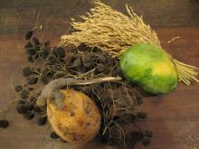Fruits and grains